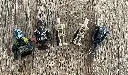 AT-AP (75043) - 4.webp